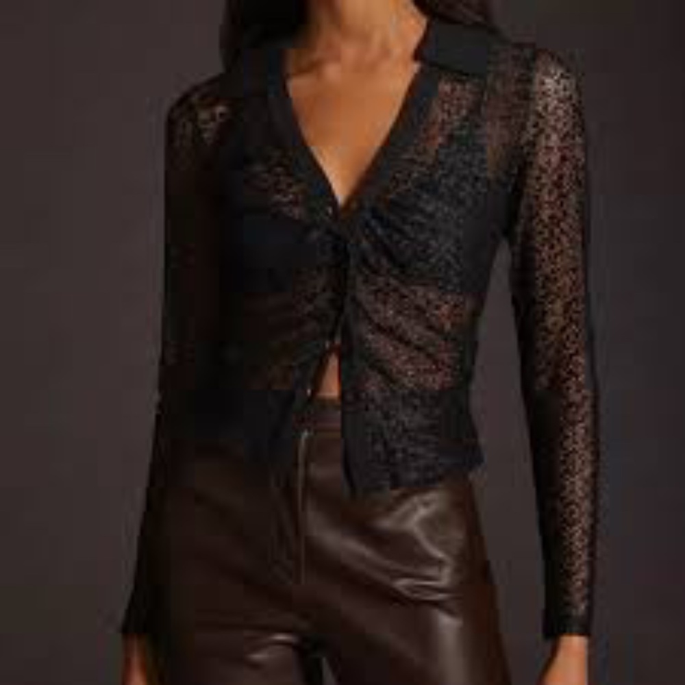 MAUVE ANTHROPOLOGIE SHEER LACE BLOUSE